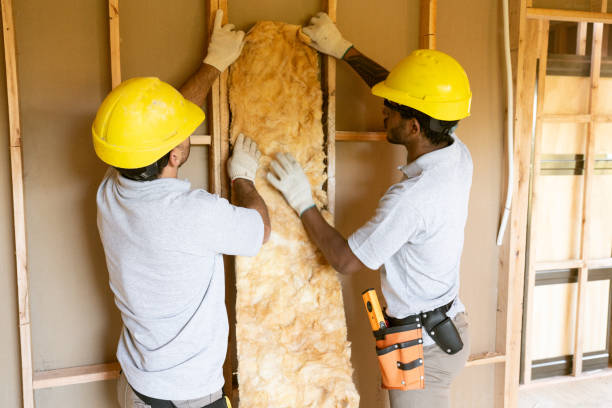 Best Energy-efficient Insulation  in Ntgomery City, MO