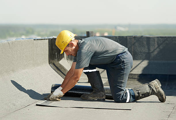 Best Insulation Contractor Near Me  in Ntgomery City, MO